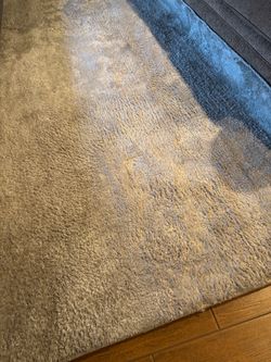 8 x 10 area rug