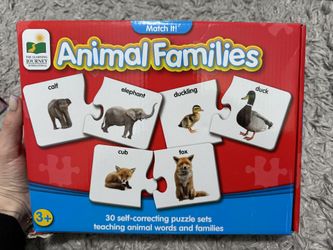 Match It Animal Families