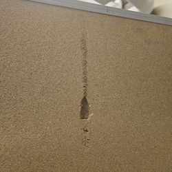 Large Dry Erase /cork Board