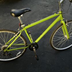 Schwinn Bike With Ergon Handlebar Grips