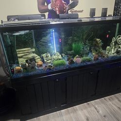 185 gal aquarium