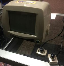 Two camera monitoring system