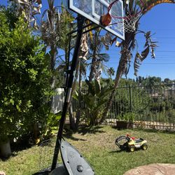 Basketball Hoops SPALDING With Basket Holder For Ball 