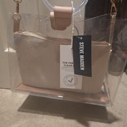 Perfect clear purse with bag in a bag