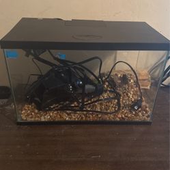 Small fish tank