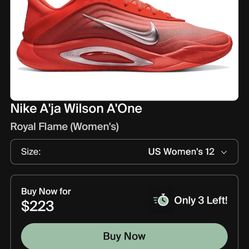 Nike A’ja Wilson A’One