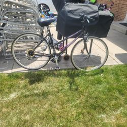 700c Schwinn Criss Cross