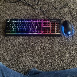 LED Steel Series Keyboard An Mouse