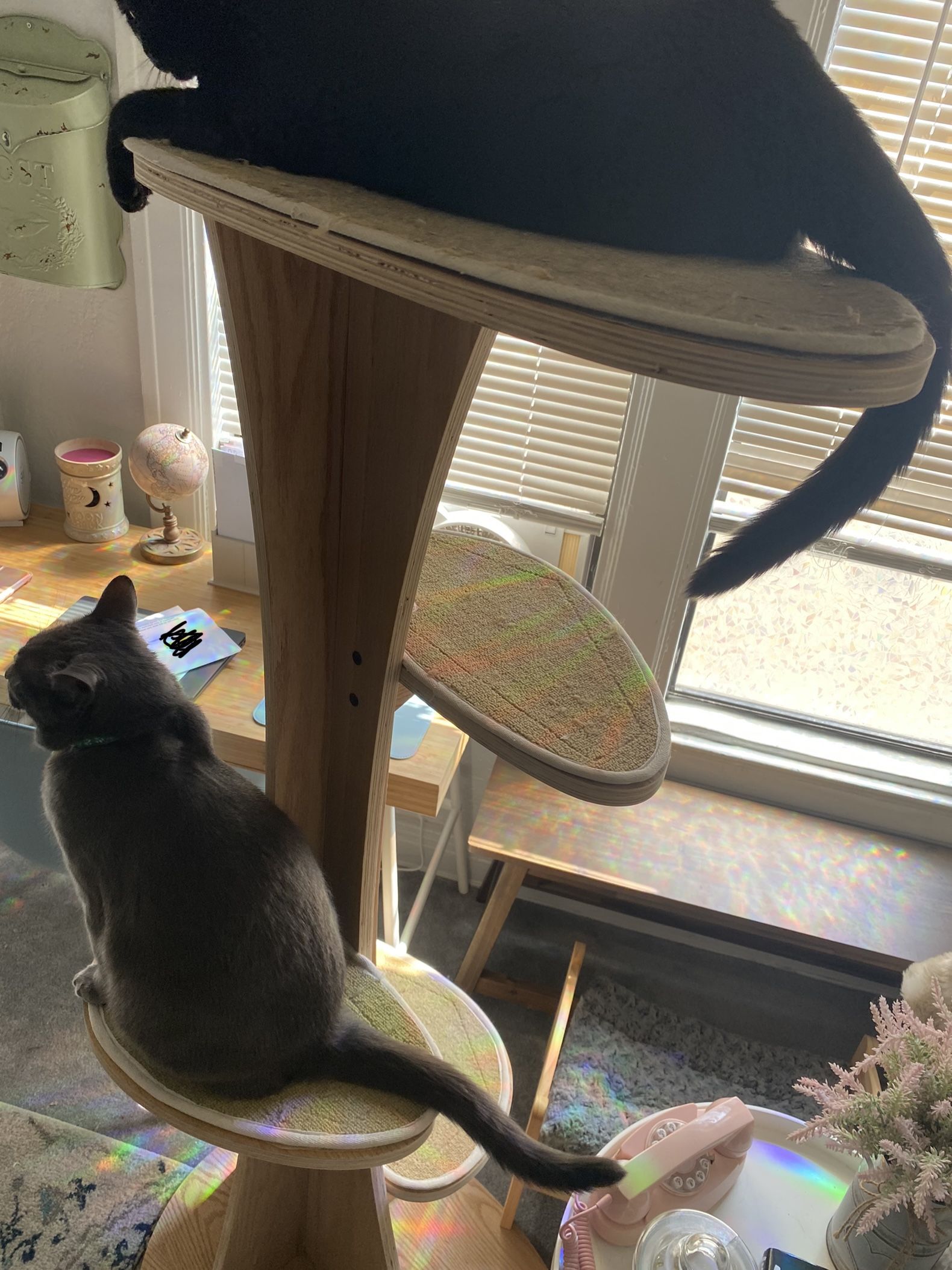 Cat Tree