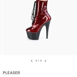 Pleaser Shoes (Boots) Size 10