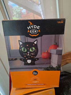 Hide and Eek Black Cat Lit Halloween Decoration