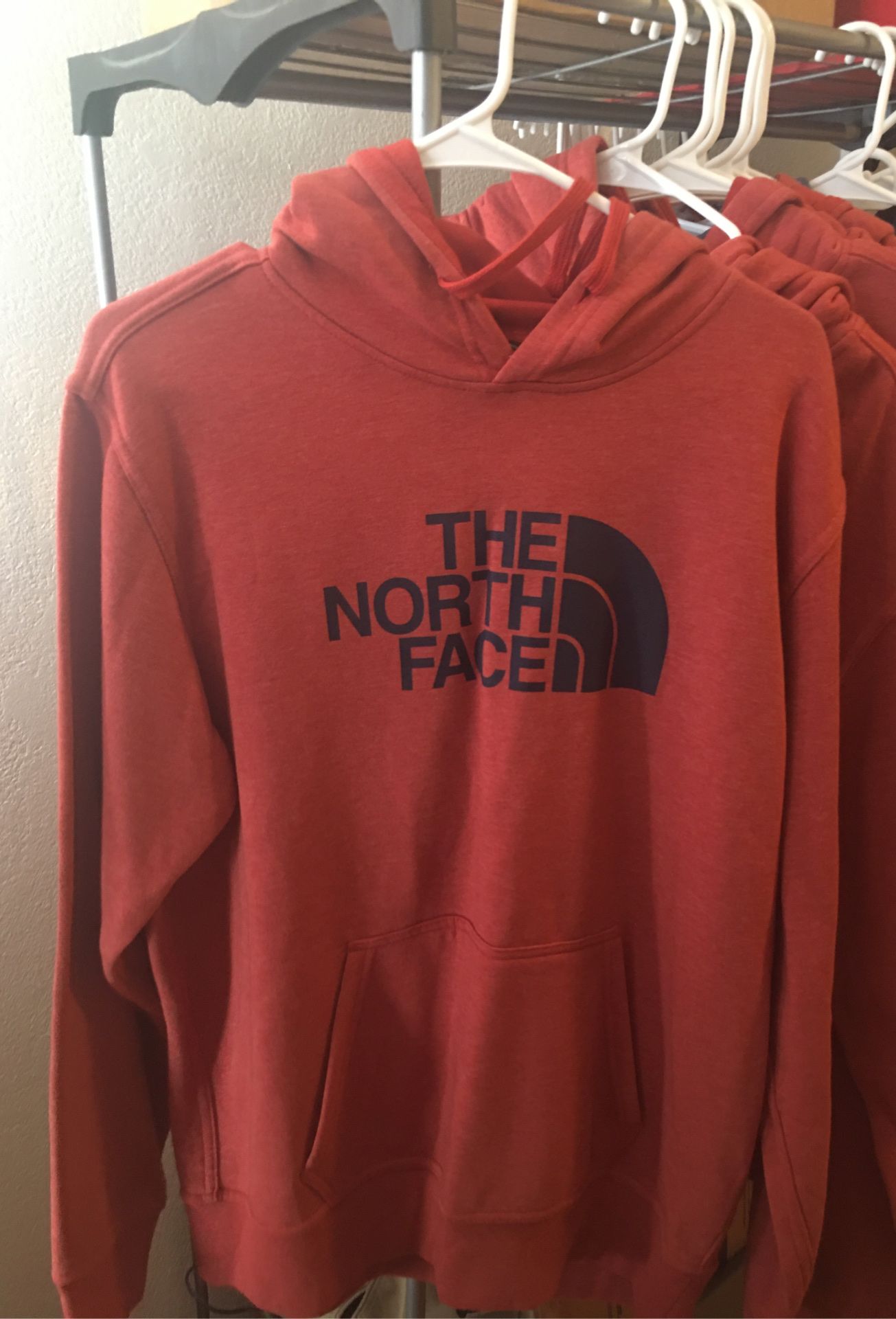 The north face half dome logo hoodie