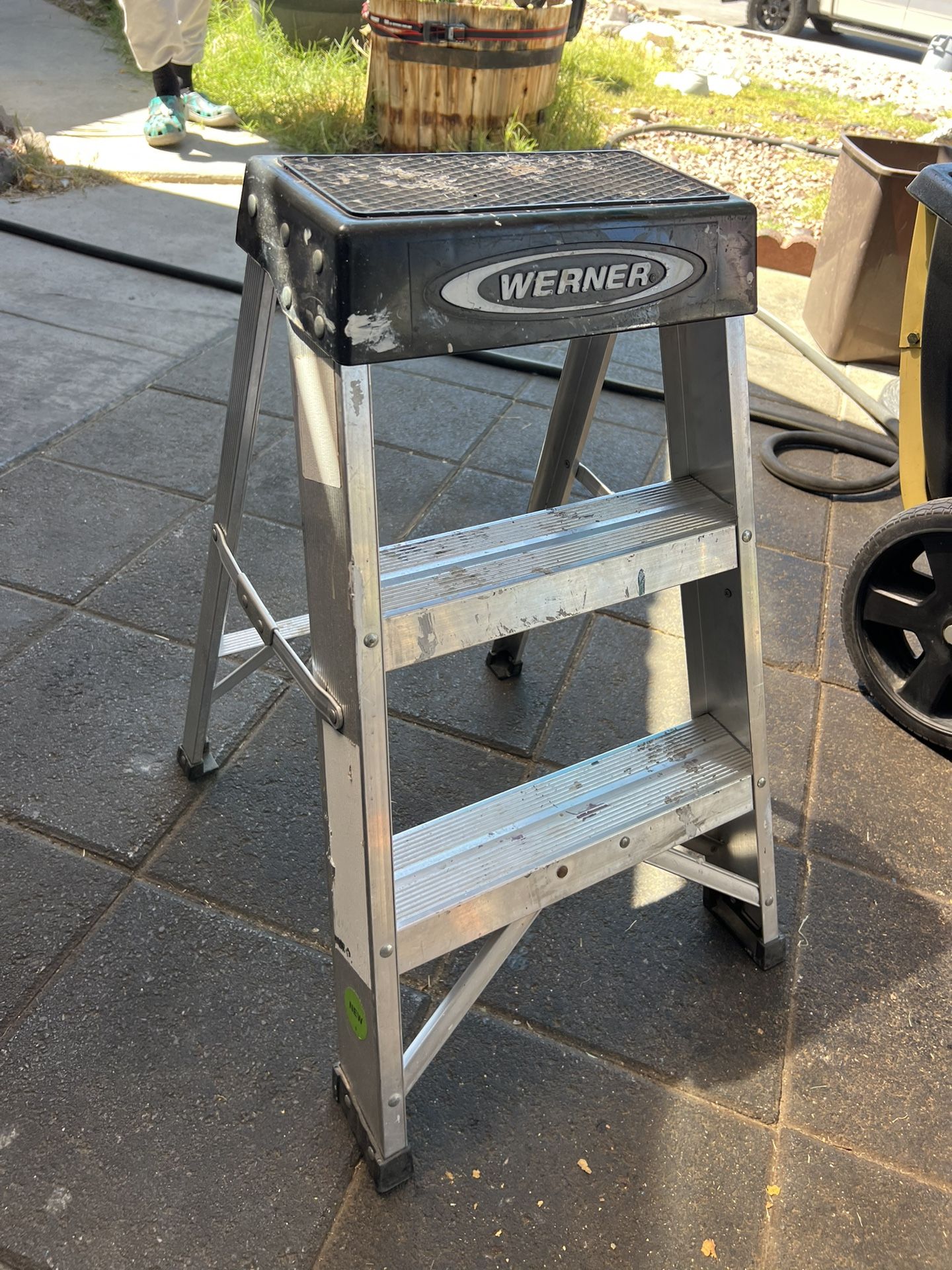 2ft Werner Ladder