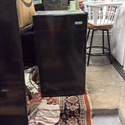 Mini fridge 