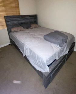 Oak Wood Bed Frame (Queen) Lights Up