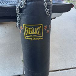Everlast Heavy Bag 
