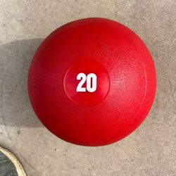 Rogue Echo Slam Ball 20lbs