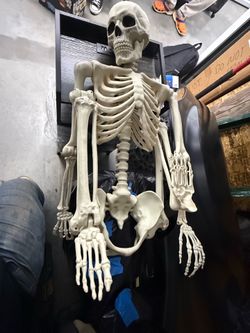 Skeleton