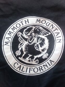 Black Mammoth Mountain hoodie
Size L
