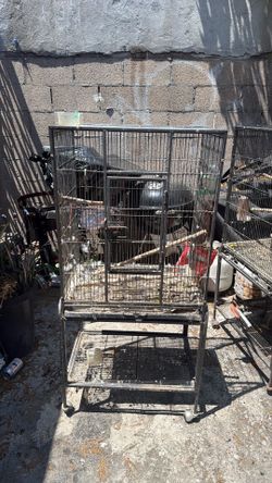Bird cage