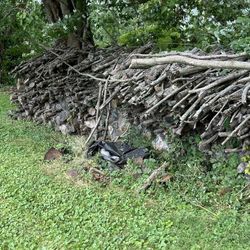 Firewood $125 / Cord