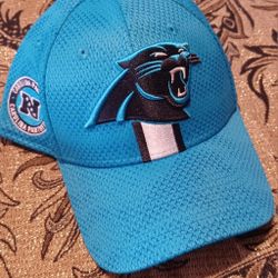 Carolina Panthers Hat Cap Fitted Small Medium Size Newton Young Smith