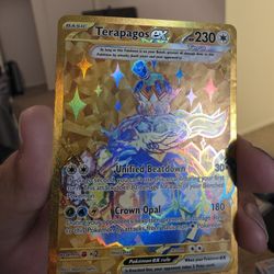 Terapagos EX