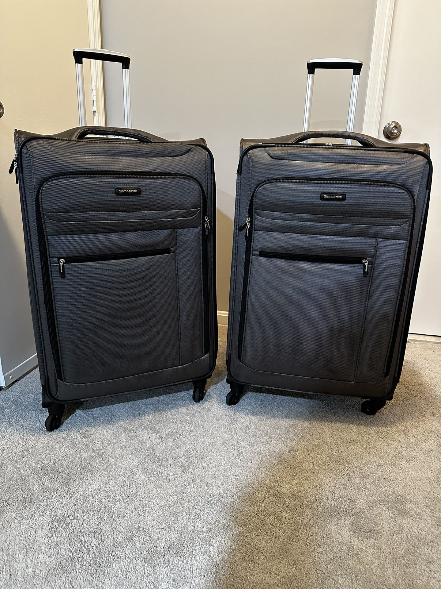 Large Luggage