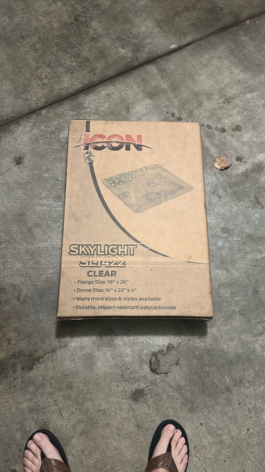 Clear Skylight