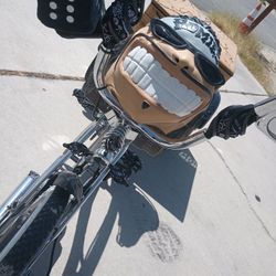 Custom Electric Lowrider Bike