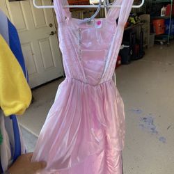 Pink Satin Princess Gown And Crown  Halloween Costume 8-10