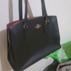 Bolsa coach