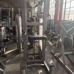 Commercial-grade Life Fitness Pro 2 Assisted Chin/Dip Machine