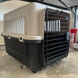 dog kennel