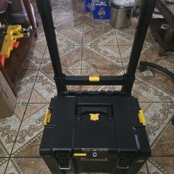 Dewalt Tool Box