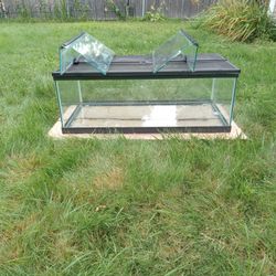 40 Gallon Fish / Reptile Tank 