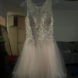 Champagne Pink Cupcake Dress