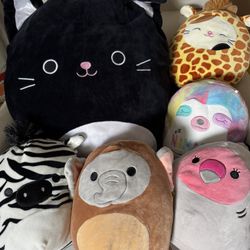 Squishmallows! 
