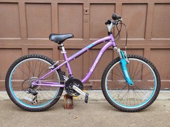 Schwinn bike