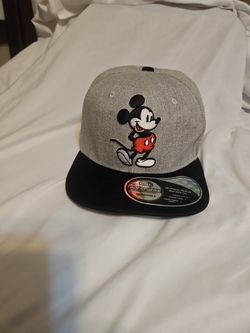 Disney Hat