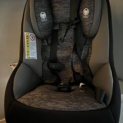 Car seat (brand New Never Used) 