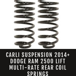 NEW CARLI R2 REAR SPRINGS