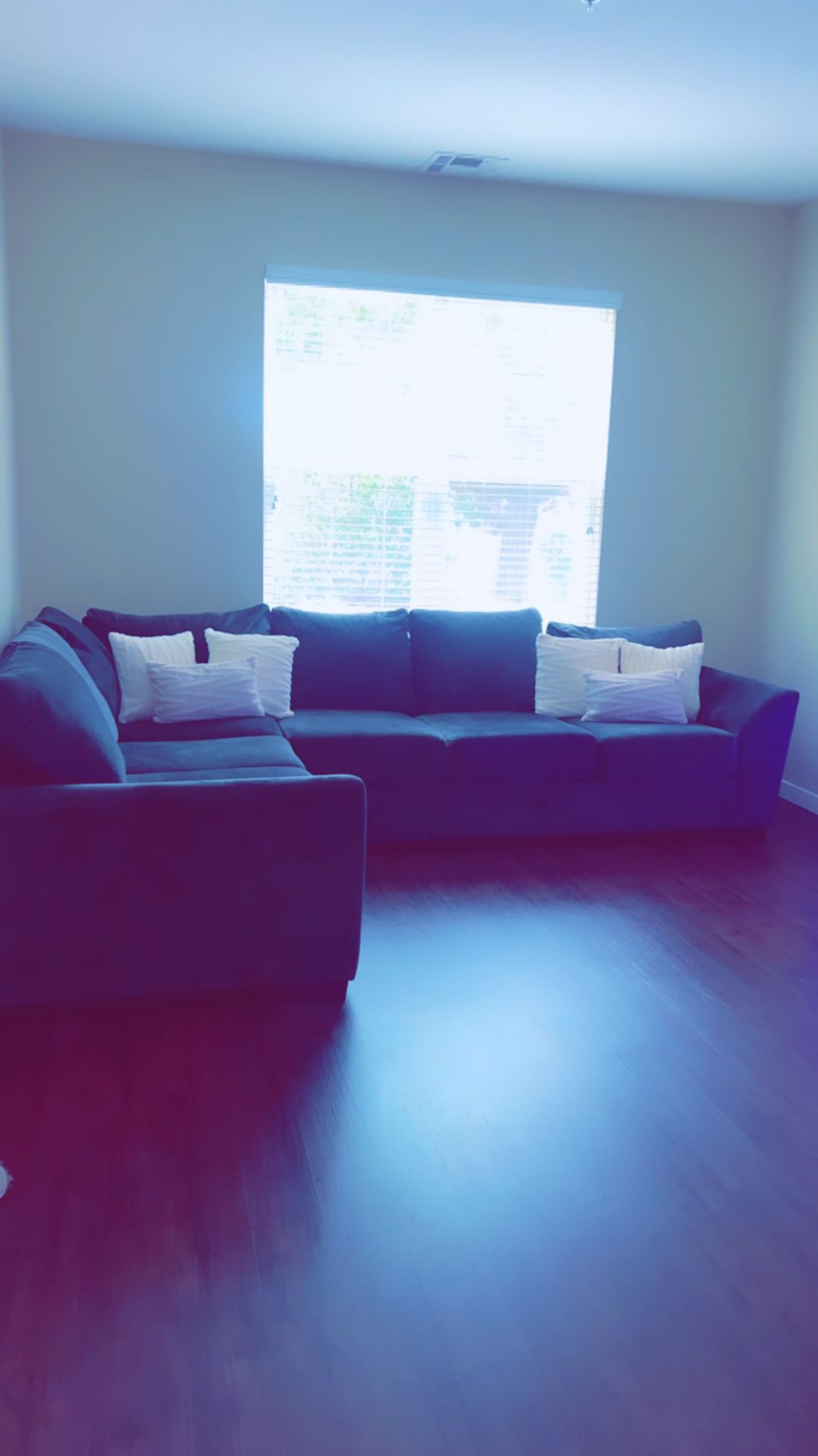 Extra Large/long Sectional Couch 