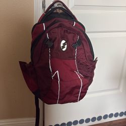 The Flash Backpack