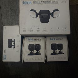 Blink Camera System 