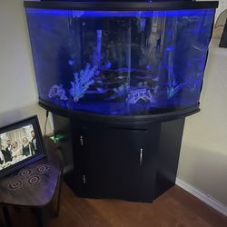 55 Gallon fish tank