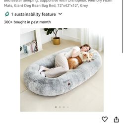 Dog Bed