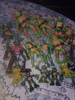 Ninja turtle