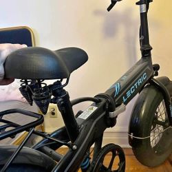 Lectric XP ELECTRIC BIKE