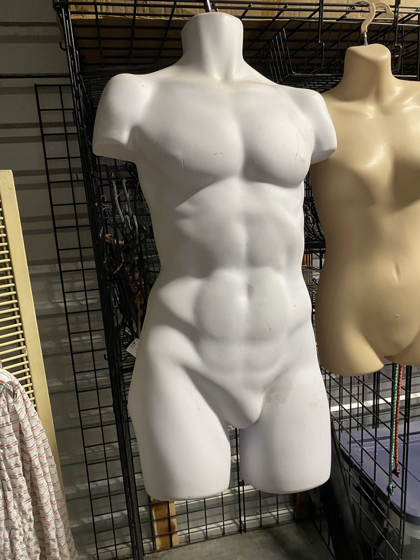Male Half Body Mannequin 